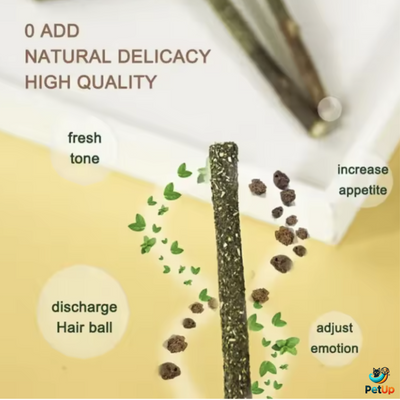 The Mint PetUp Cat Sticks For Cat Teeth Cleaning