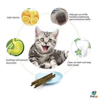 The Mint PetUp Cat Sticks For Cat Teeth Cleaning
