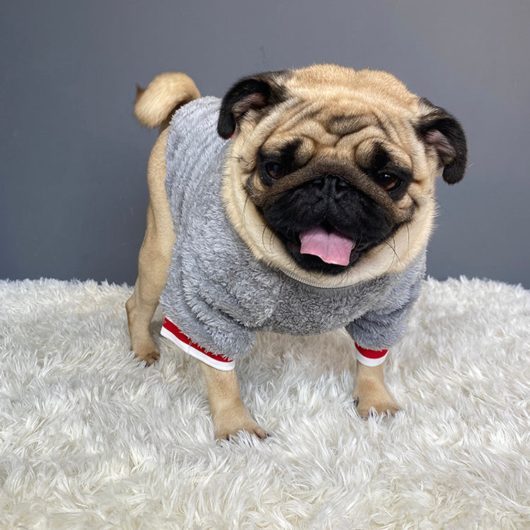 PetUp Dog Sweater