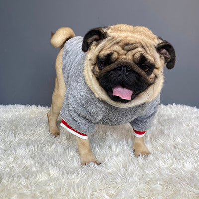 PetUp Dog Sweater