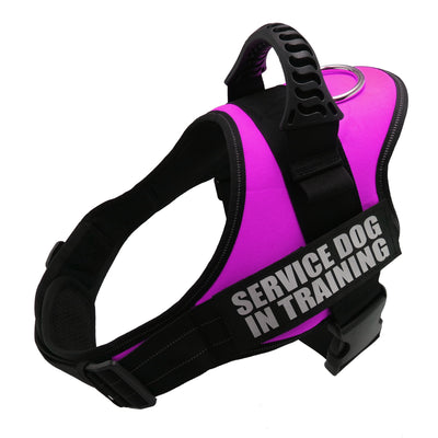 The PetUp K9 Reflective Adjustable Dog Harness & Collar – All Sizes
