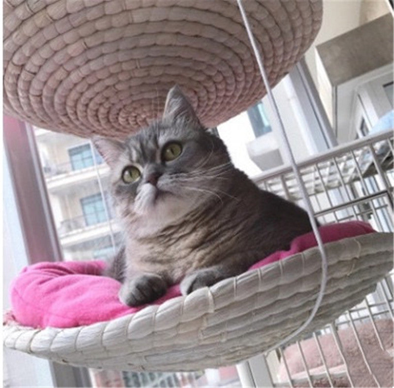 PetUp Cat Climbing Tree & Scratching Frame