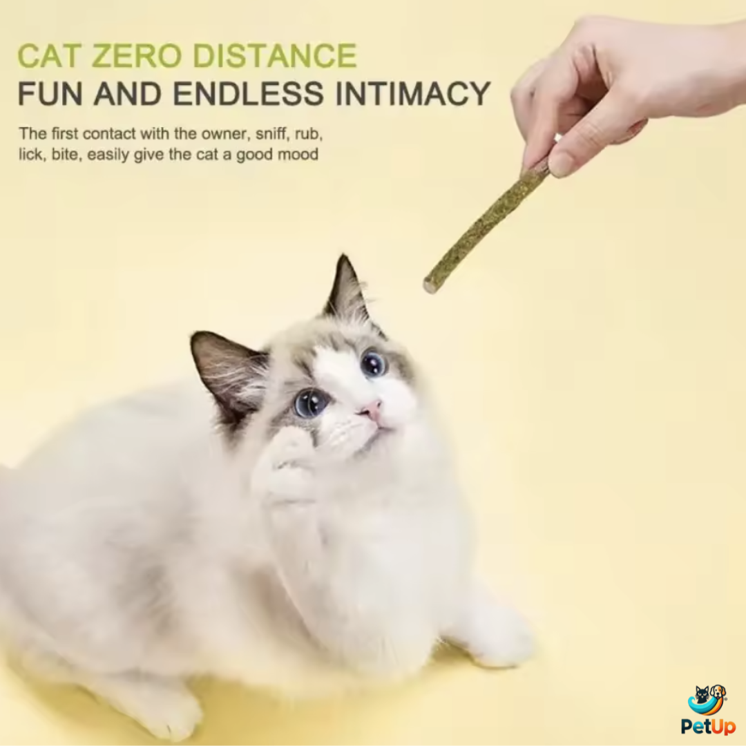 The Mint PetUp Cat Sticks For Cat Teeth Cleaning