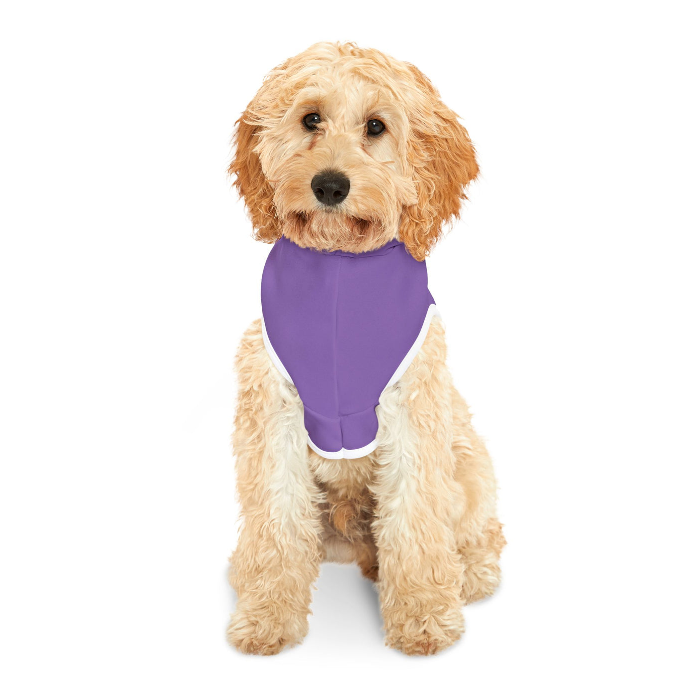 The PetUp Dog Purple Hoodie