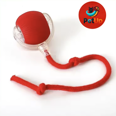 The PetUp Red Dog & Cat Ball Toy