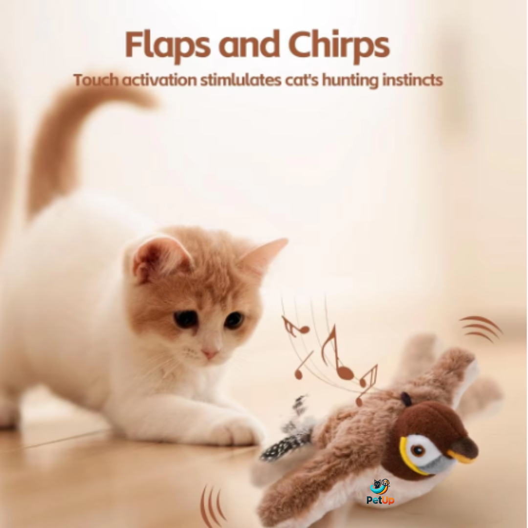 The PetUp™ Interactive USB Rechargable Bird Chirping Cat Toy