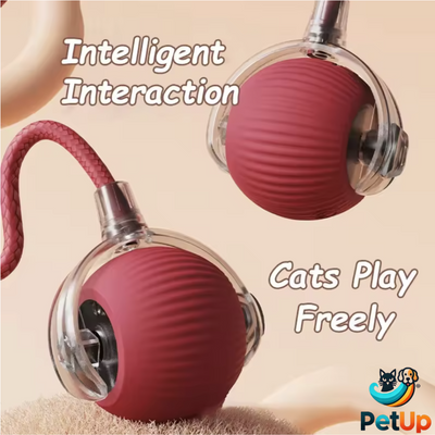 The PetUp Red Dog & Cat Ball Toy