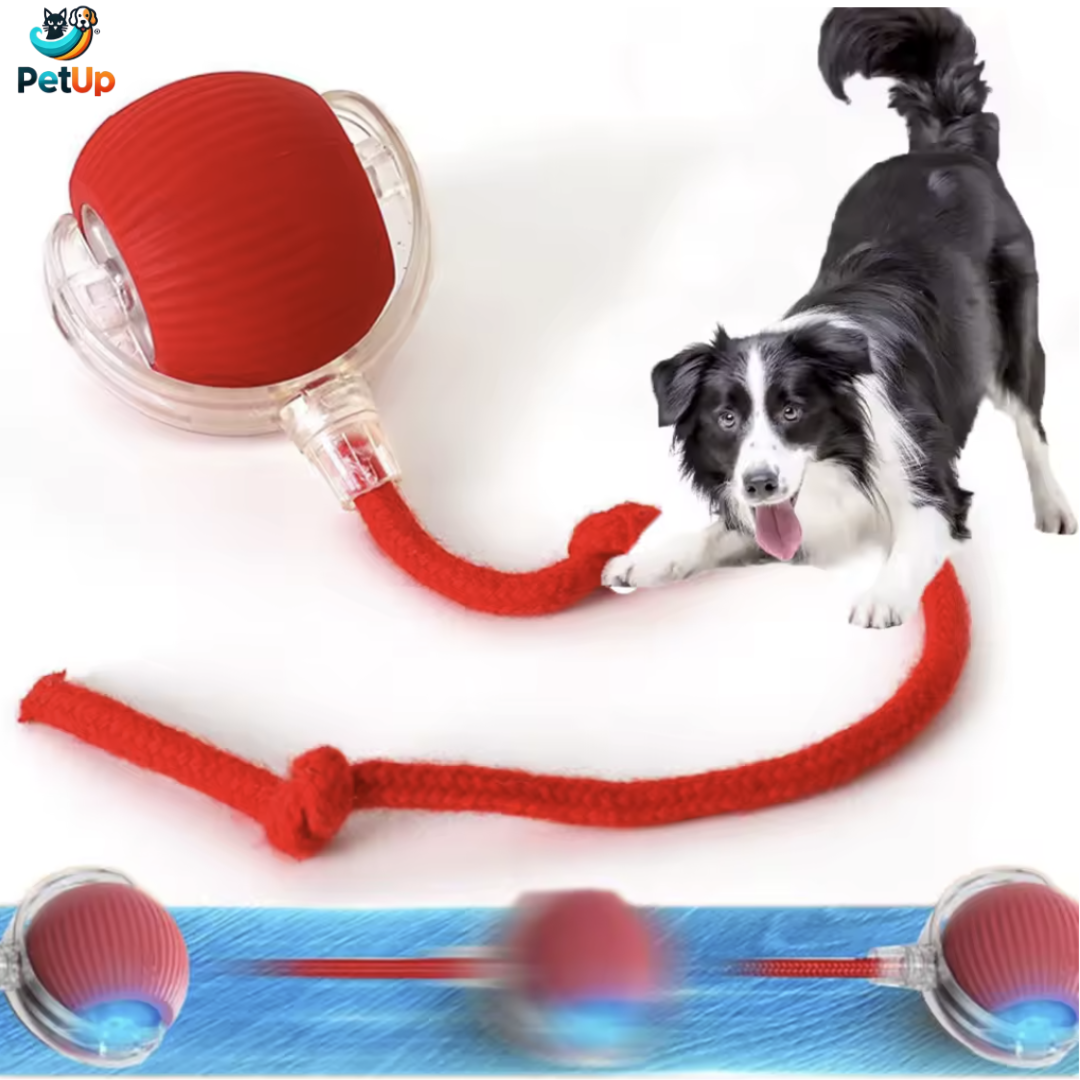 The PetUp Red Dog & Cat Ball Toy