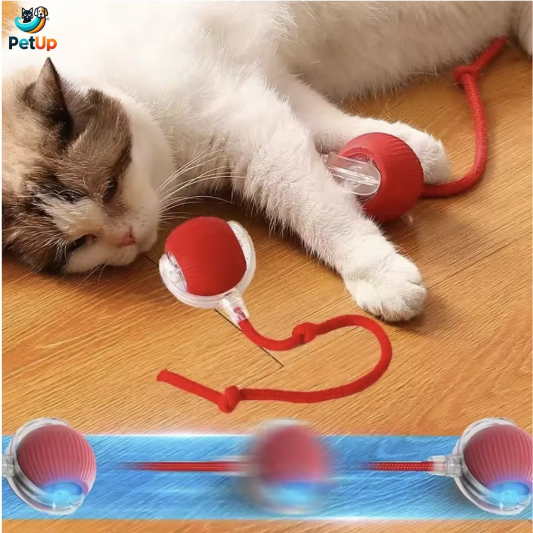 The PetUp Red Dog & Cat Ball Toy