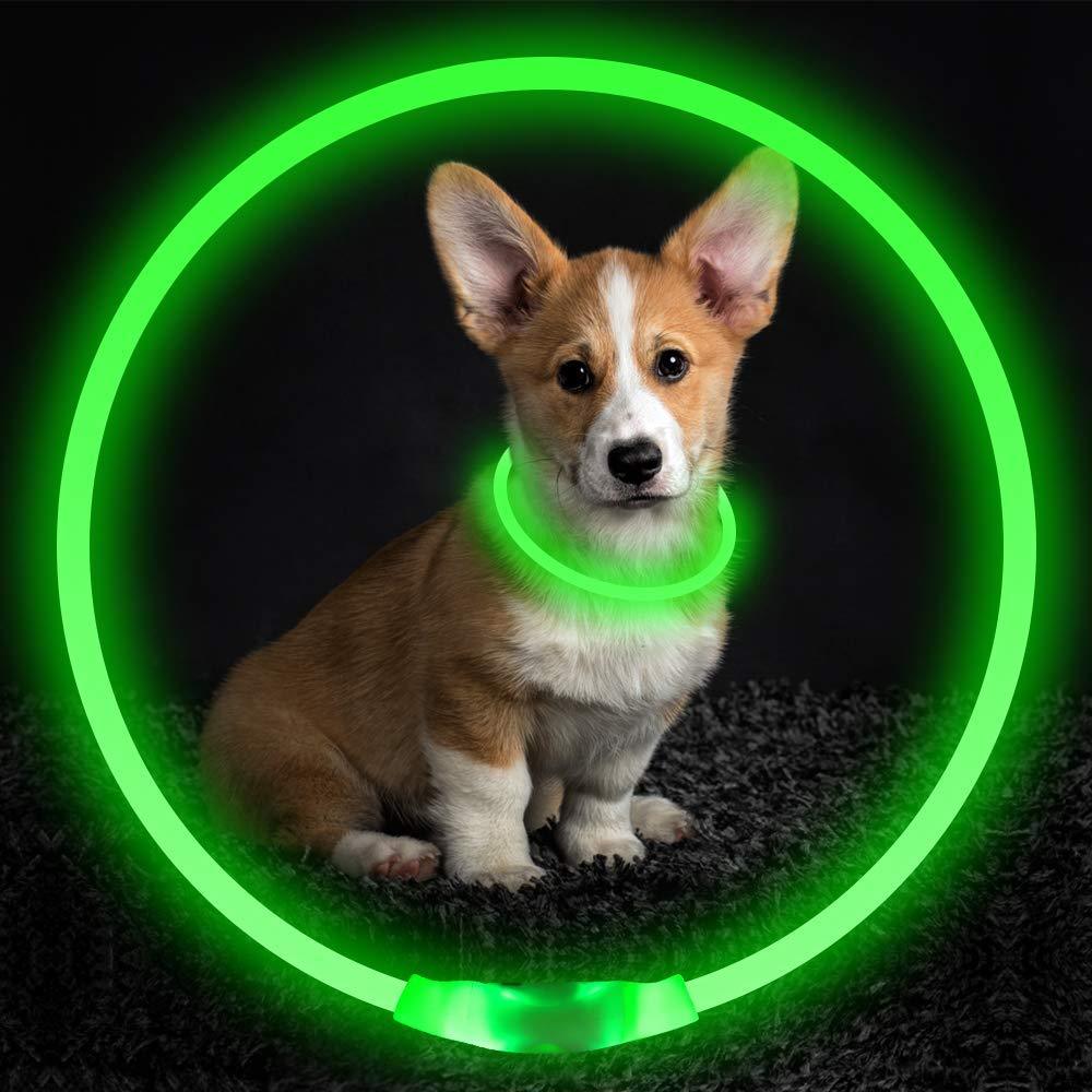 PetUp USB Rechargeable Flashing Dog Collar & LED Light-Up for Night Walking