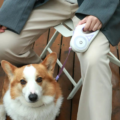 PetUp™ Led Lights Dog Leash