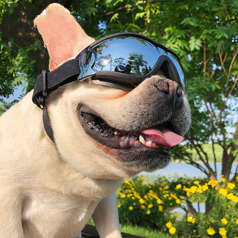 PetUp Dog Goggles