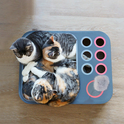 PetUp Formaldehyde-Free Cat Scratching Toy & Nest