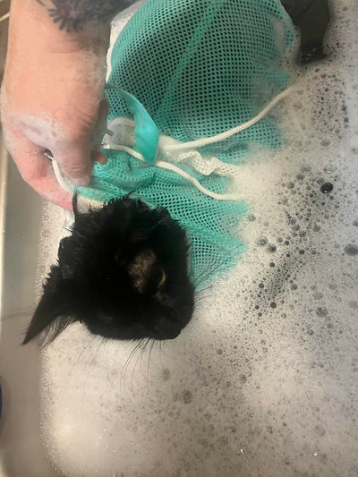 The PetUp Cat Mesh Bag