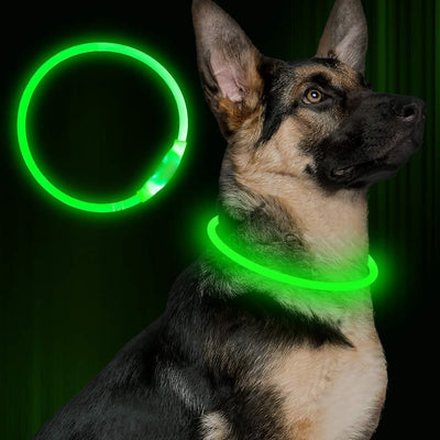 PetUp USB Rechargeable Flashing Dog Collar & LED Light-Up for Night Walking
