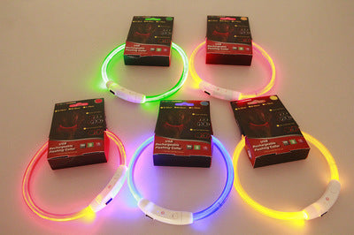 PetUp USB Rechargeable Flashing Dog Collar & LED Light-Up for Night Walking