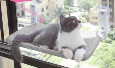PetUp Cat Suction Cup Window Hammock