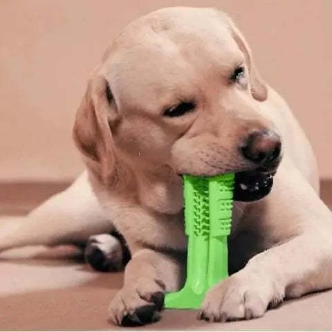 PetUp™ Meat-Flavored Dog Toothbrush