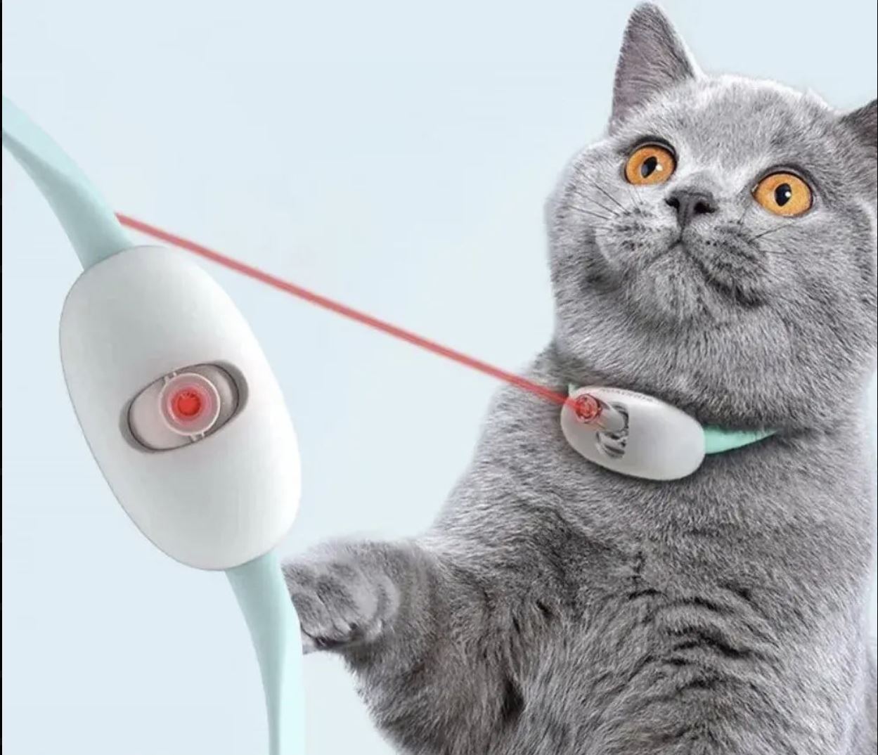 PetUp™ Smart USB Laser Tease Cat Collar