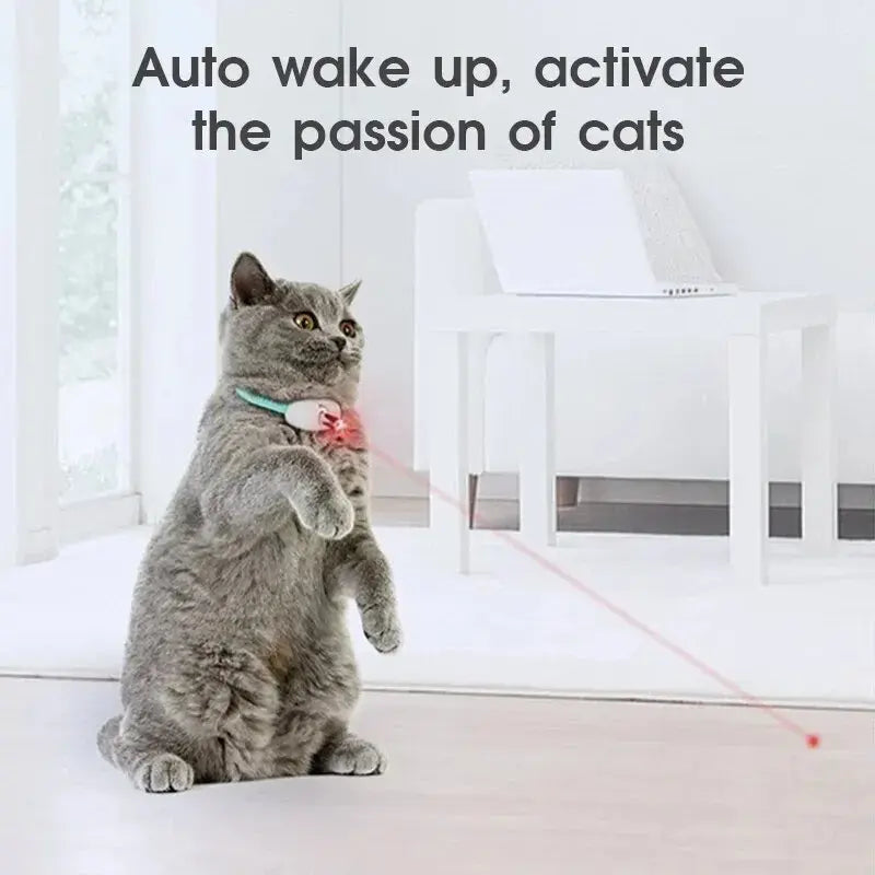 PetUp™ Smart USB Laser Tease Cat Collar